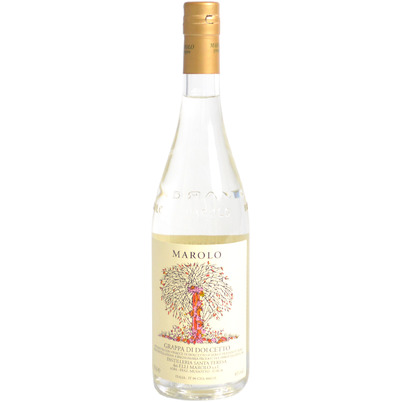 Marolo - Dolcetto Marolo - Dolcetto